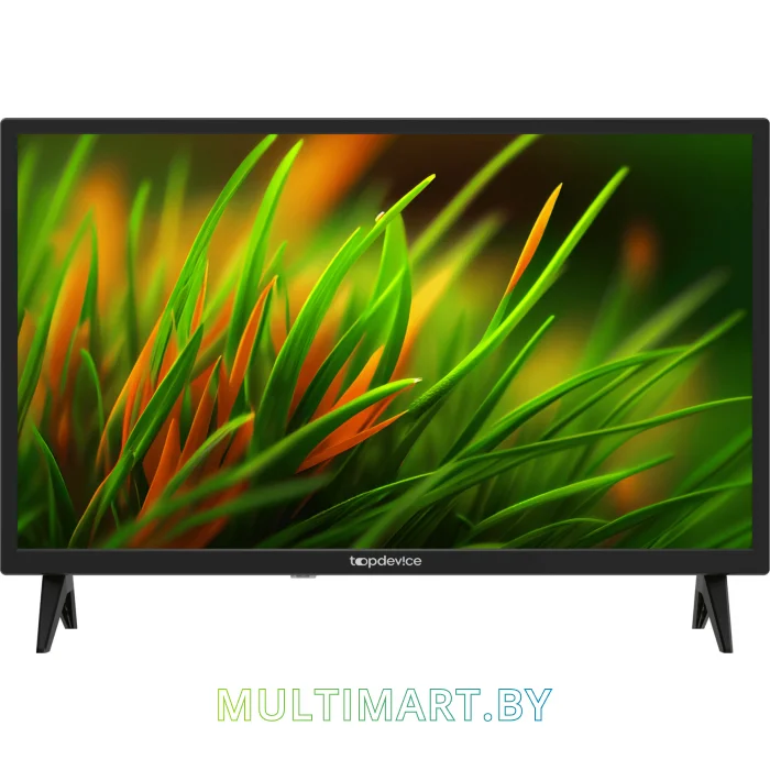 Телевизор Topdevice TDTV24BS01HBK